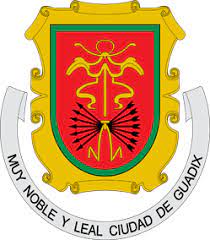 ayuntamientoguadix