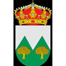 ayuntamientomontillana