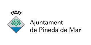 ayuntamientopinedas