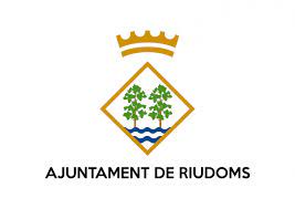 ayuntamientoriudoms