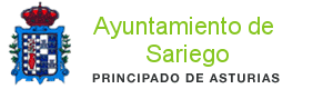 ayuntamientosariego
