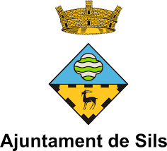 ayuntamientosils