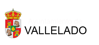 ayuntamientovallelado
