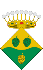 ayuntamientovallfogonaderipollés