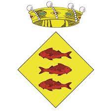 ayuntamientovallmoll
