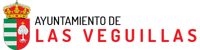 ayuntamientoveguillas