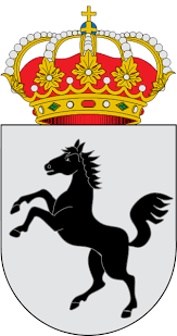 ayuntamientovillardelayegua